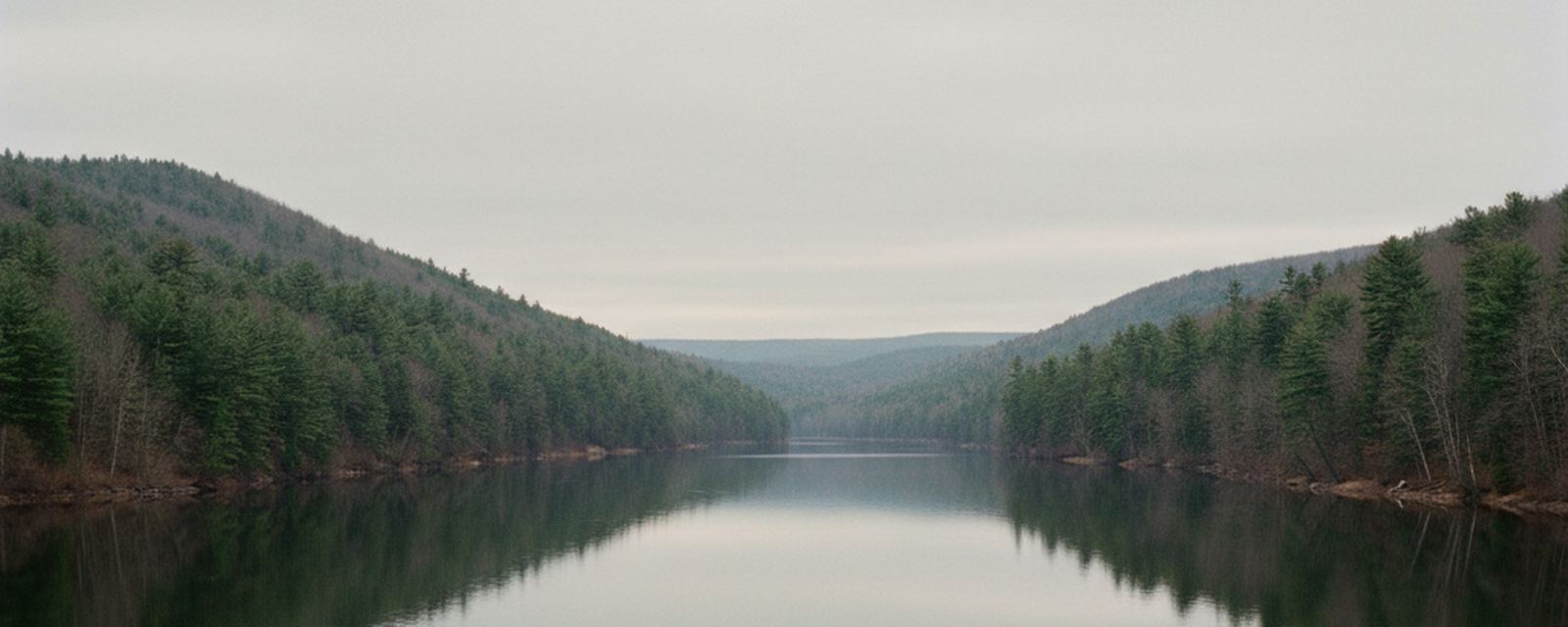 Low forested ridges above a long narrow reservoir in northwest Pennsylvania, hemlock and black cherry running down to still water under gray sky