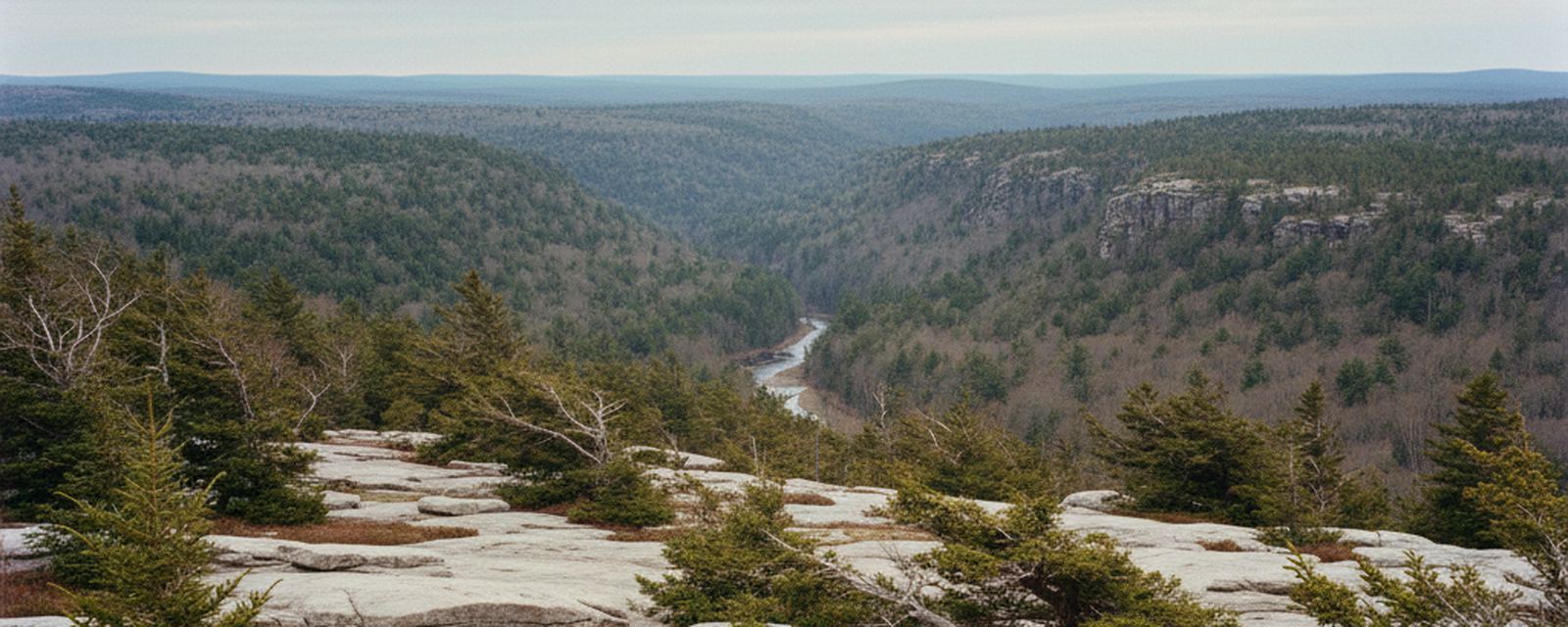 Flat pale bedrock ledge with loose slabs and young spruce above a forested valley, a river winding past gravel bars below, and a long rock cliff band on the ridge at right.