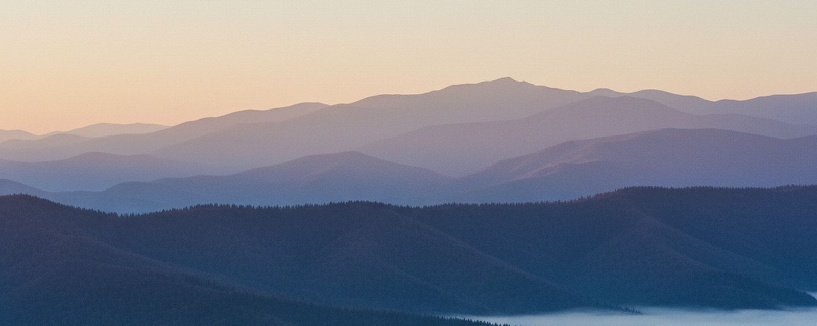 Layered blue ridges in the Great Smoky Mountains at first light, fog lying along a hardwood valley below a dark band of spruce forest.